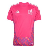 Mexico World Cup 2026 Adult Goalkeeper Soccer Jersey